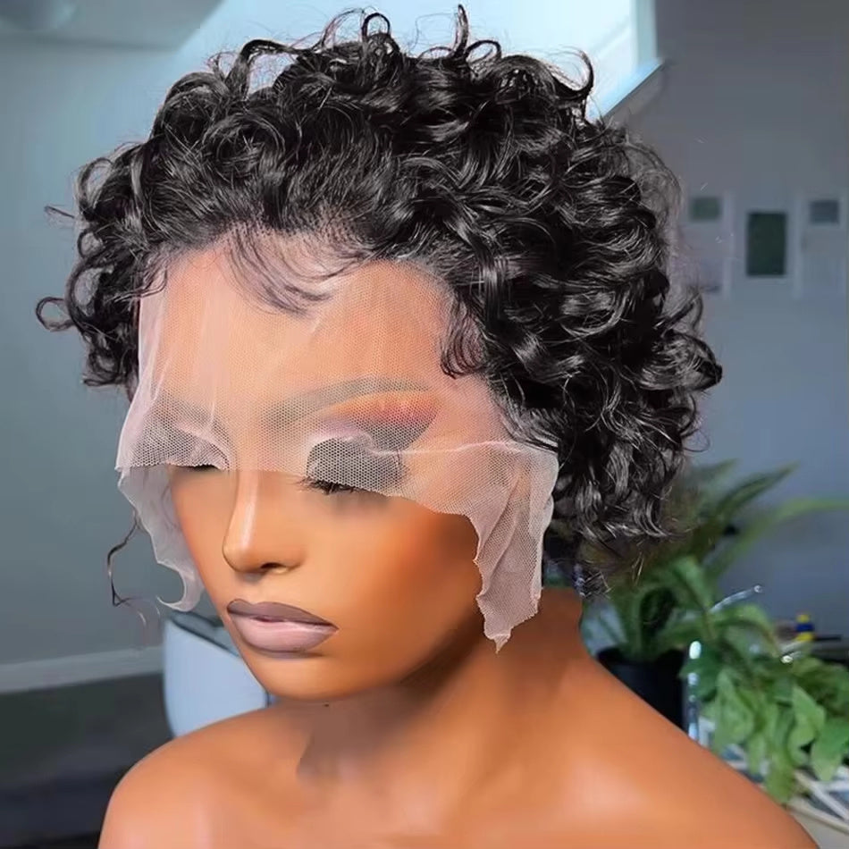 Human Hair Wig
